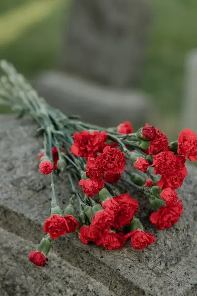 Red carnation flowers with green stems placed on gray stone surface