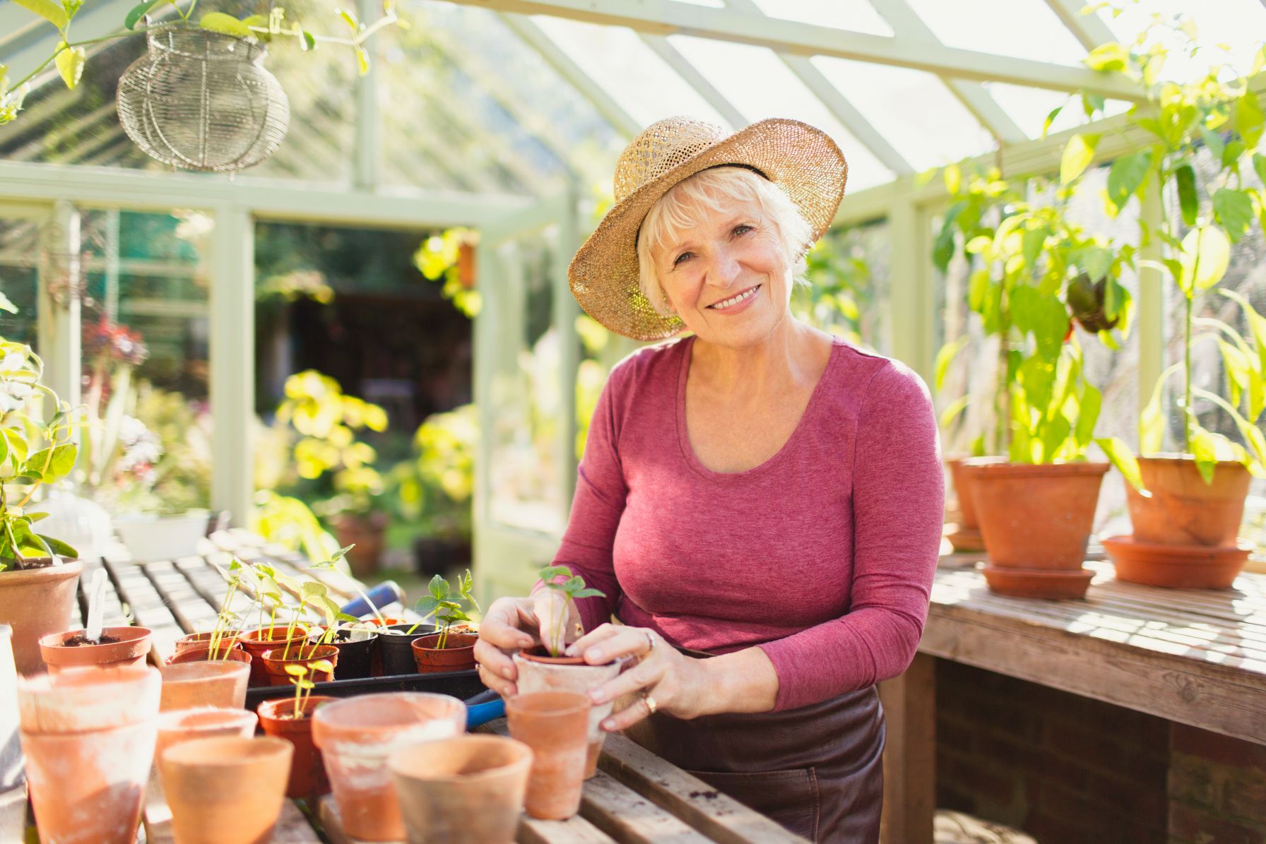 Solo aging drives urgent estate planning needs as 21% of Arkansas adults 50+ live alone, yet only 37% have medical powers ...