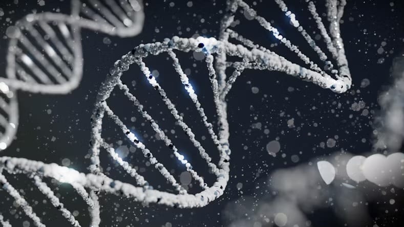 DNA Testing and Missouri Estate Planning Risks